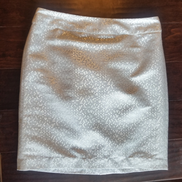 LOFT Dresses & Skirts - LOFT Sliver Metallic Dot Shimmer Pencil Skirt 4P